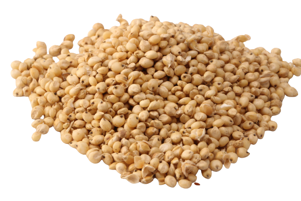 imgProduct
